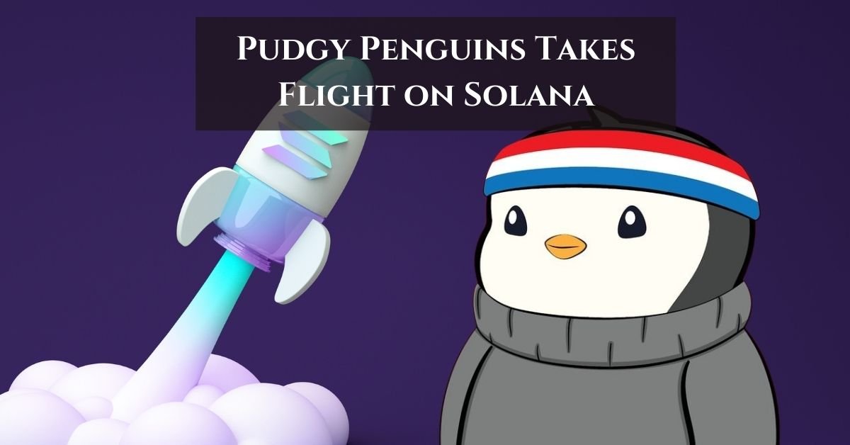 Pudgy Penguins Takes Flight on Solana: Launching Master Coin Amid NFT Market Surge