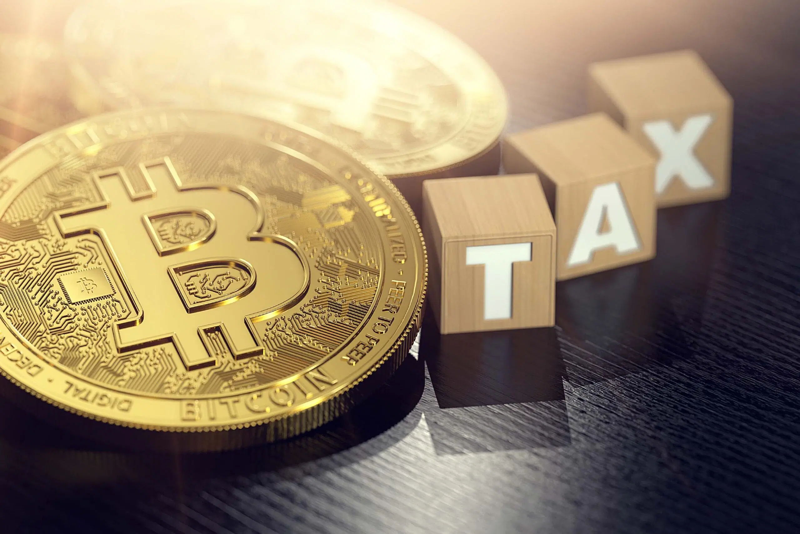 5 Crypto Tax-Free Countries in 2025 You Can Move to for Zero Crypto Taxes