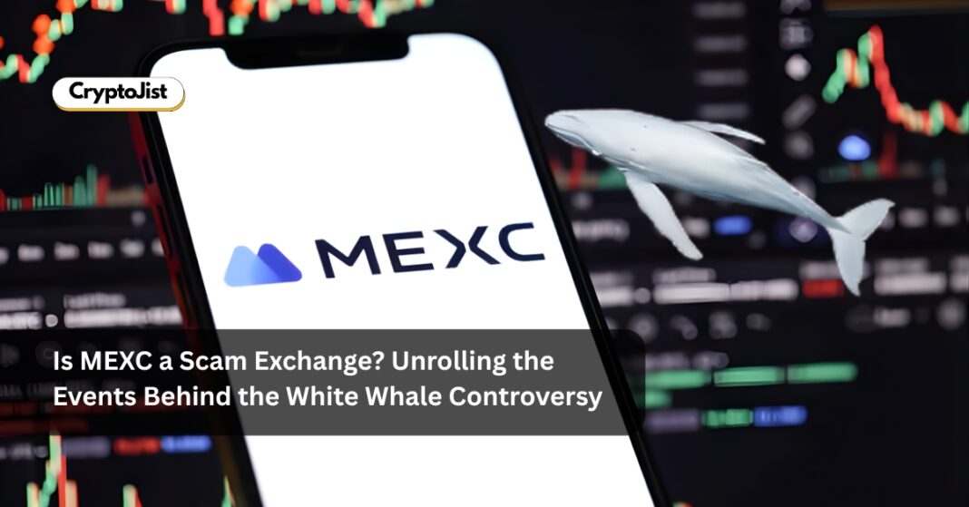 Is MEXC a Scam Exchange? Unrolling the Events Behind the White Whale Controversy