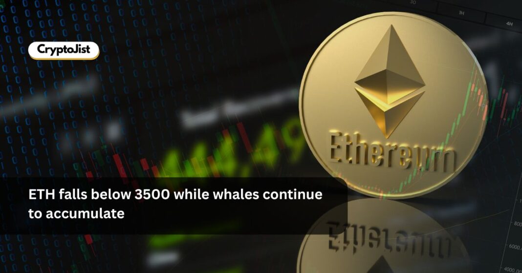 ETH falls below 3500 while whales continue to accumulate
