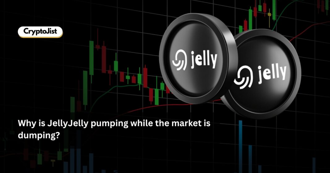 Why is JellyJelly pumping while the market is dumping?