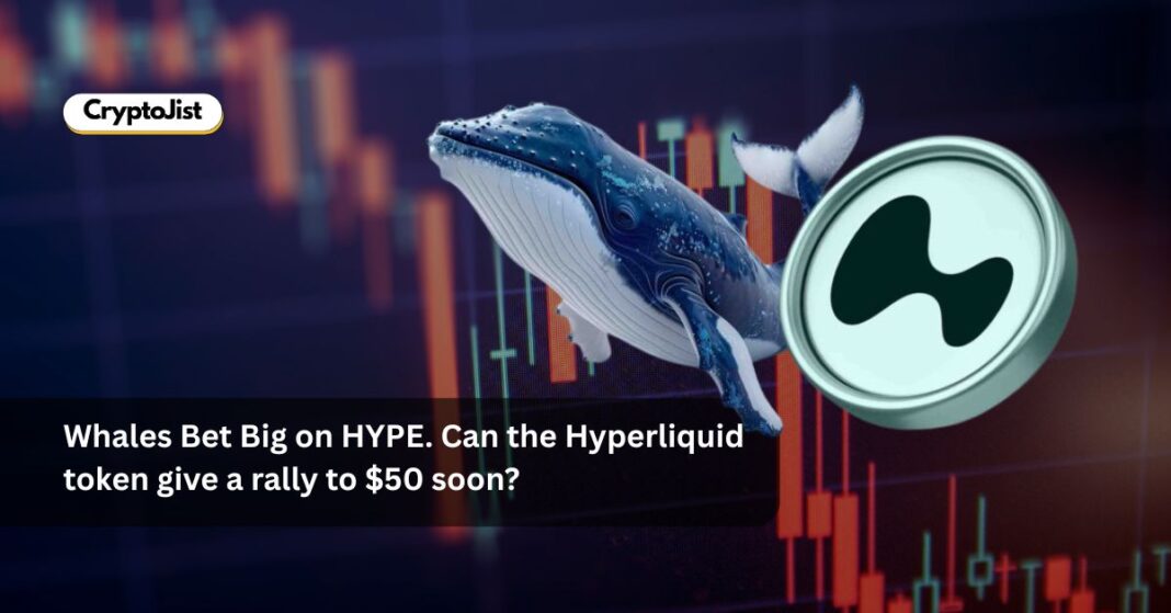 Whales Bet Big on HYPE. Can the Hyperliquid token give a rally to $50 soon?