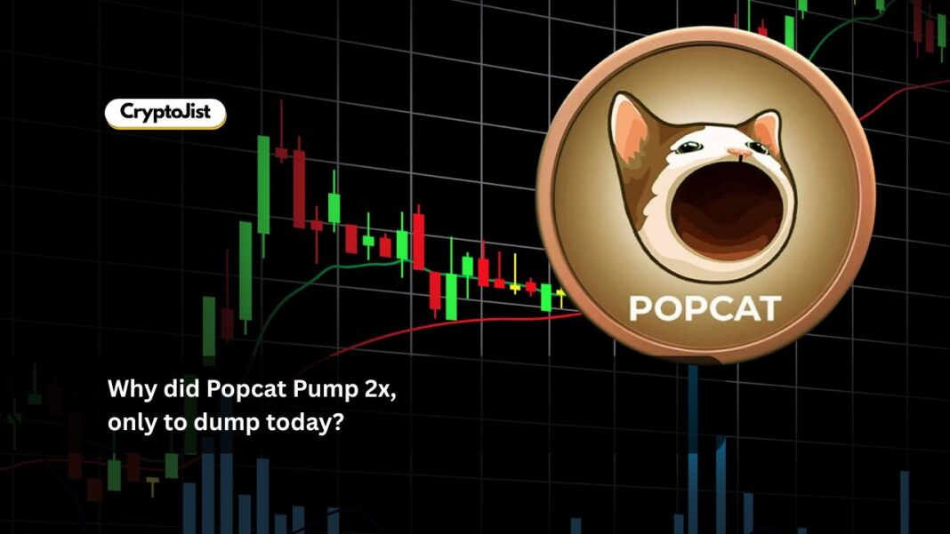 Why did Popcat Pump 2x, only to dump today?