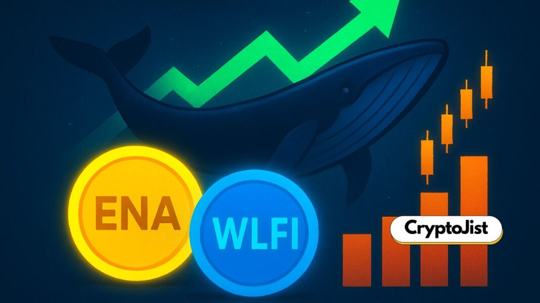 On-Chain Analysis Reveals Whales Are Betting Big on ENA and WLFI: Targets for 2026