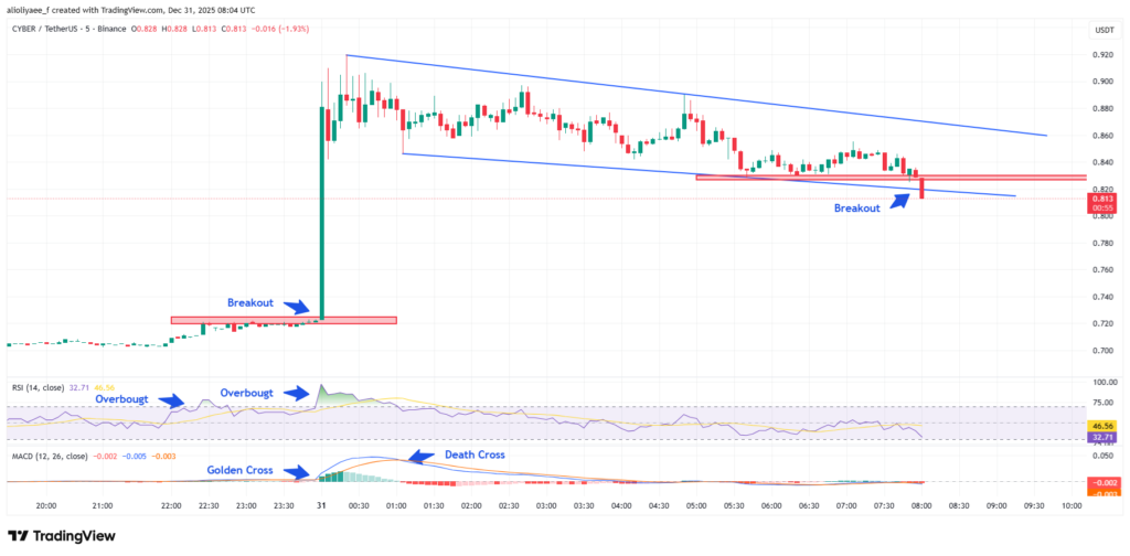 Cyber Price Skyrockets 30%. Can It Hit $1 in January 2026?