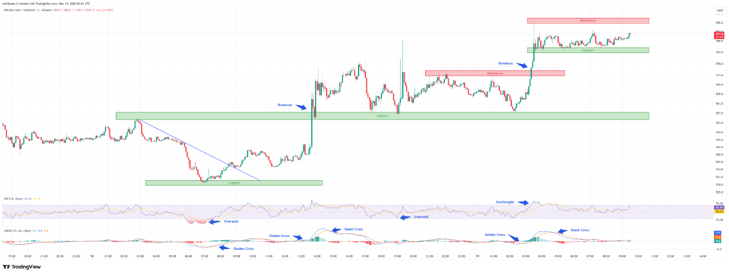 Bitcoin Cash Price Explodes 10%. Can BCH Hit $700 in 2026?