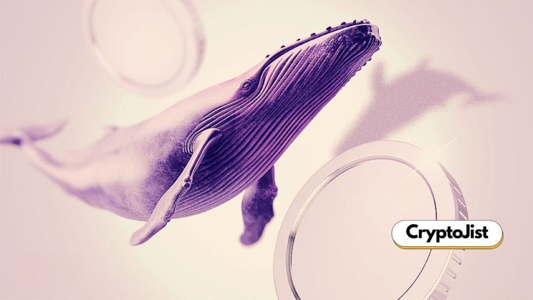 What Altcoins are Whales Accumulating in 2026? Find Out